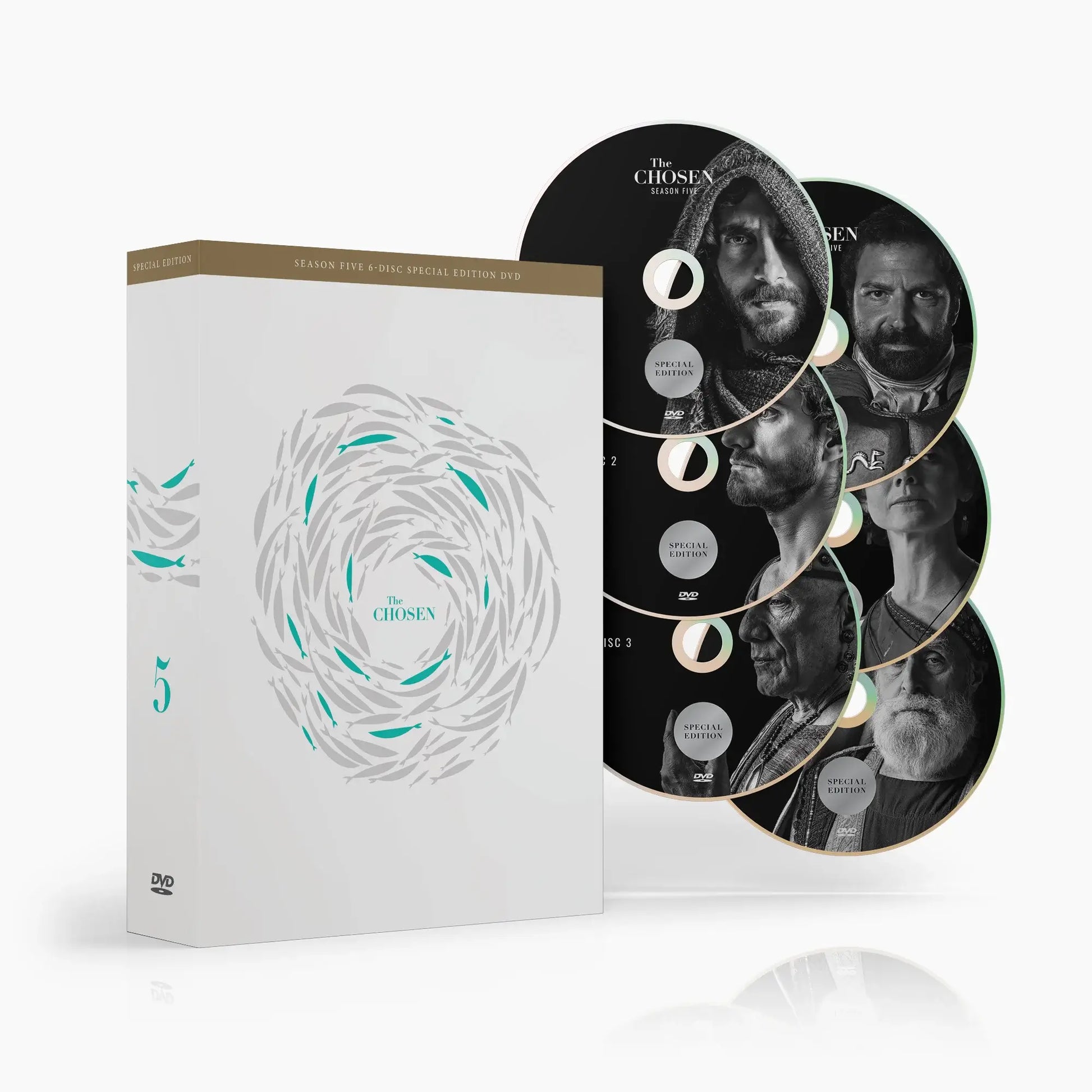 Temporada 5 | Conjunto de discos de edición especial